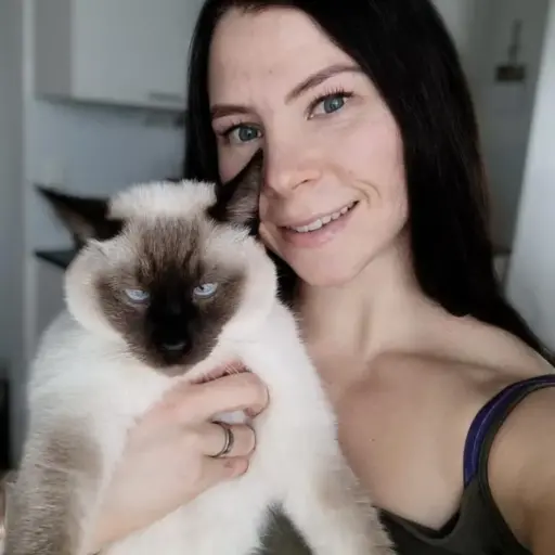 satu_esittely satu_esittely